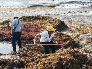 Evalúan colocar barreras en el mar para contener sargazo en Quintana Roo