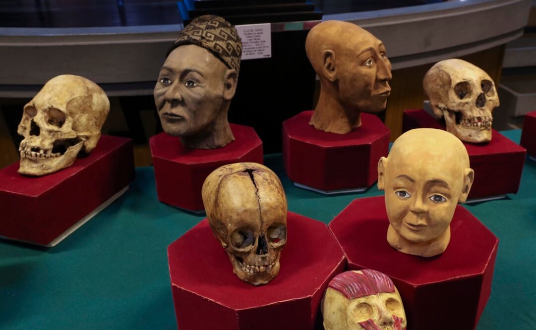 "Rostros del pasado" mostrará la reconstrucción de cráneos de habitantes de Tiahuanaco. Foto: EFE/Martín Alipaz
