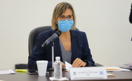 Avanzan reformas para prohibir mutilación de animales con fines estéticos en Tamaulipas