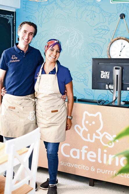 José y Silvia reunieron en su negocio dos de sus pasiones, hacer café y postres, y ayudar a los gatos que viven en la calle a través de la adopción. Foto: Patricia Morales / El Universal