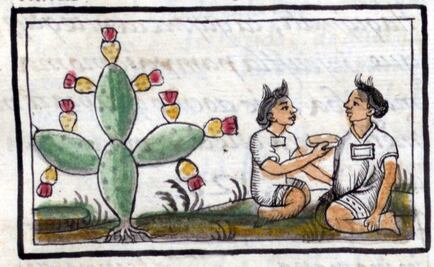 Aborto: orígenes prehispánicos