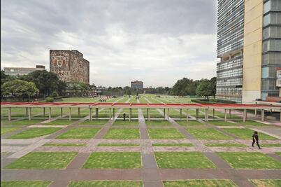 UNAM urge pesquisa a fondo sobre cártel en CU