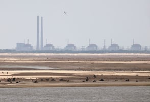 OIEA alerta que central nuclear de Ucrania se quedó sin suministro eléctrico; trata de negociar alto al fuego para reparación