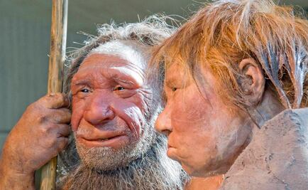 Los neandertales no eran como los pintan