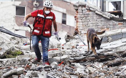 19S: Millions donated to the survivors are missing