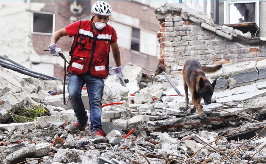 Mexicans came together to rescue survivors, yet the government has turned its back on them – Photo: Sishenka Gutiérrez/EFE