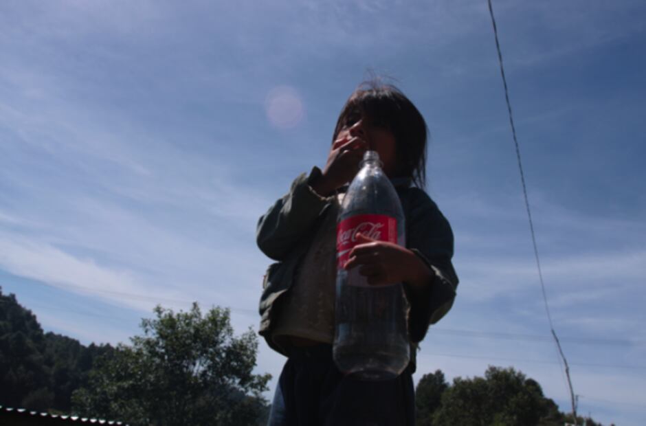 Los orígenes de la obesidad en México