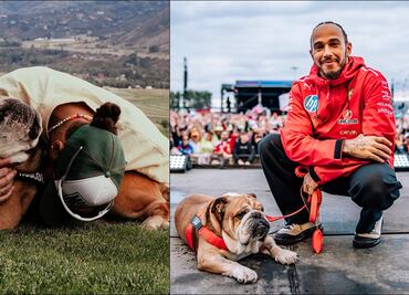 Lewis Hamilton anuncia la muerte de Roscoe con conmovedor mensaje: “Una de las experiencias más dolorosas”