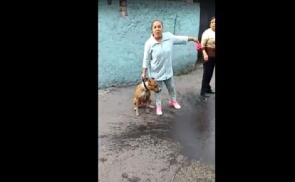 Usa a su perro para amedrentrar vecinos y mascotas; la llaman #LadyPitbull