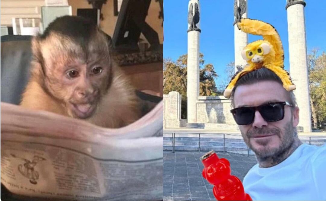 Beckham lleva varios días en la CDMX / FOTO: ESPECIAL 