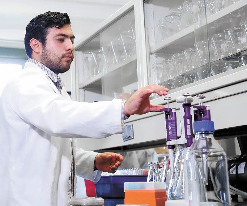 En aproximadamente un año, investigadores de la UANL estarían en condiciones de finalizar las evaluaciones necesarias para producir una vacuna comestible con base en la ingesta de tomates genéticamente modificados. FOTOS: ESPECIAL