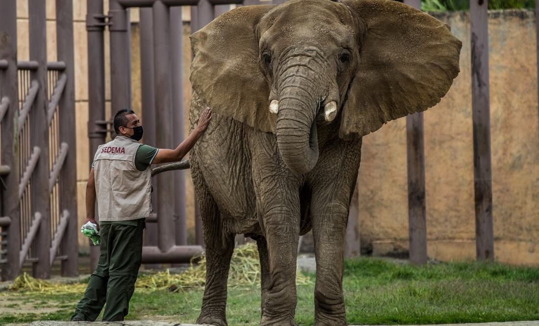 Foto: Germán Espinosa. EL UNIVERSAL