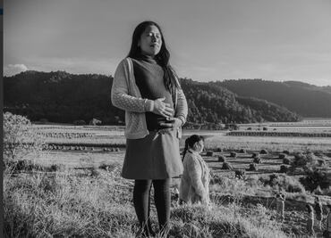 Curiosidades de las cintas nominadas al Oscar