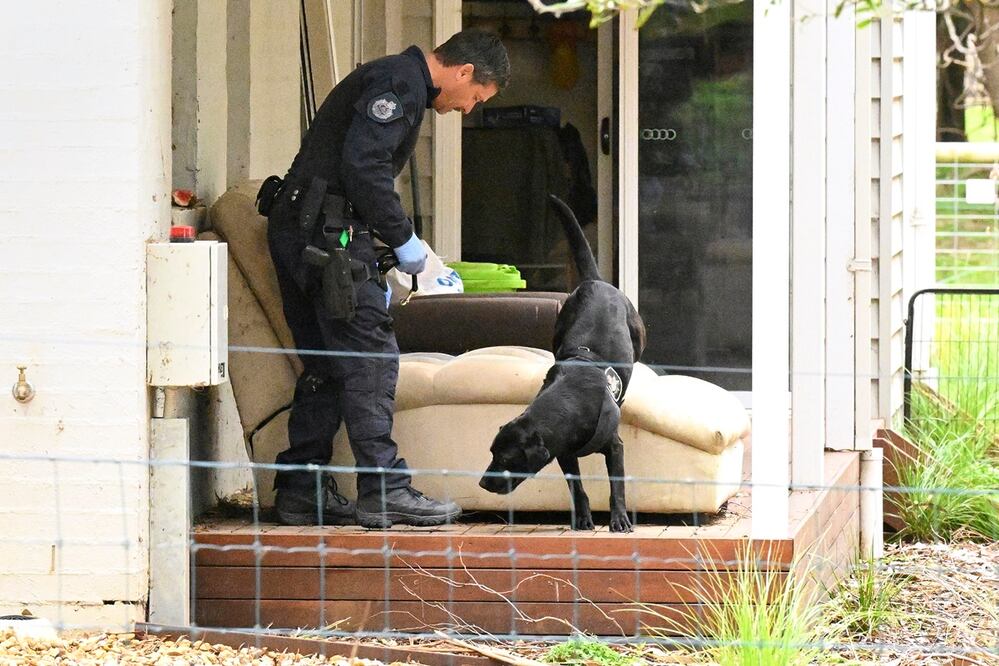 Un oficial y un perro investigan en la propiedad de Erin Patterson en Leongatha, Australia, el jueves 2 de noviembre de 2023. Foto: AP