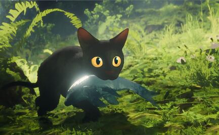 "Flow" pone a Letonia en el mapa