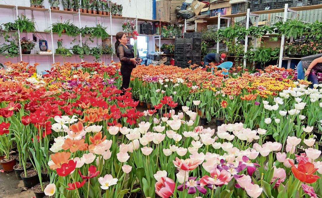 Vendedores de flores de la Ceda ofertan lo poco que alcanzaron a rescatar. (13/02/2025) Foto: Juan Carlos Williams | El Universal