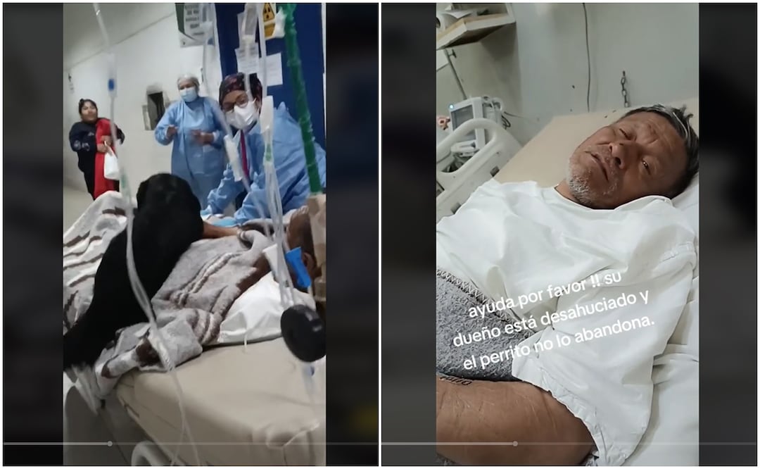 Firulais no se separa de su dueño, quien ha sido desahuciado. Foto: Captura tomada de video