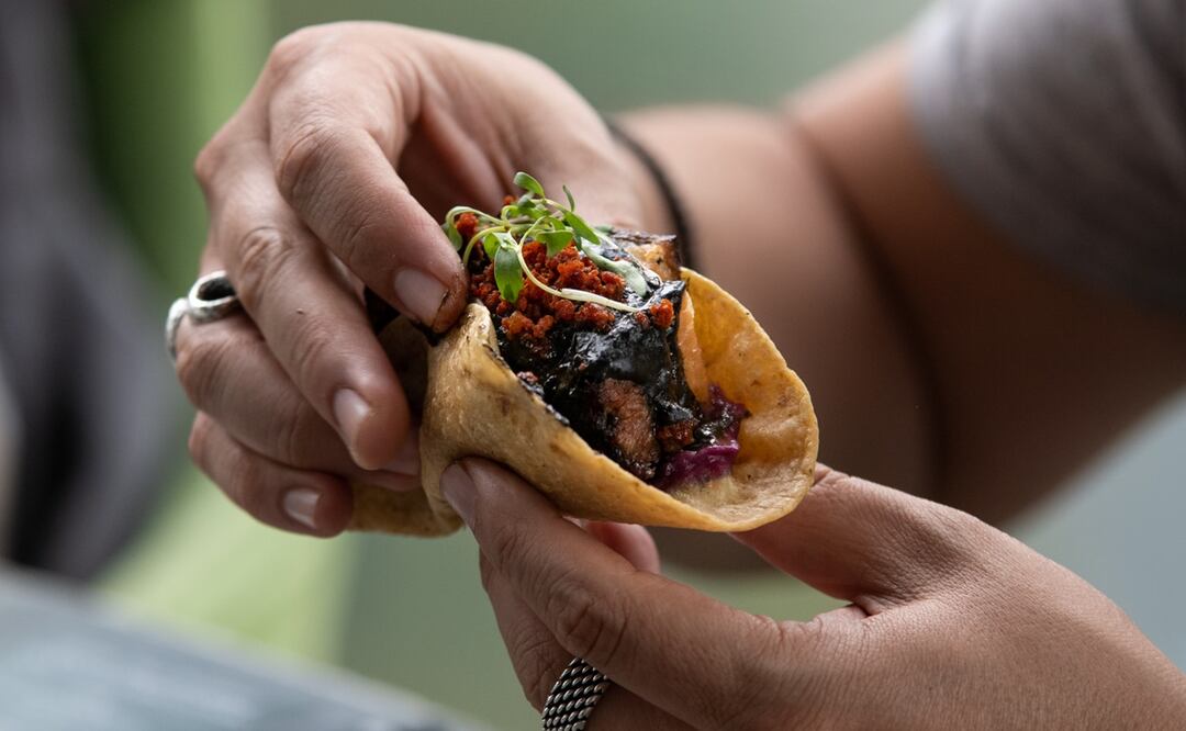 Taco de pork belly, castacán negro. Foto: Cortesía