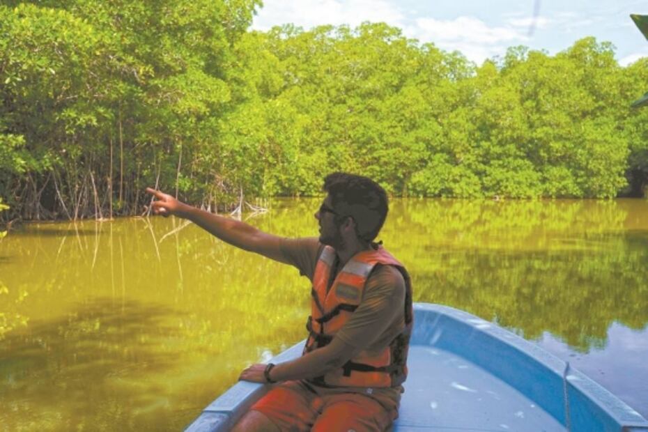 Comunidades impulsan un corredor verde en Oaxaca