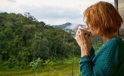 5 ideas para preparar desayunos nutritivos y que el cerebro rinda todo el día, según expertos