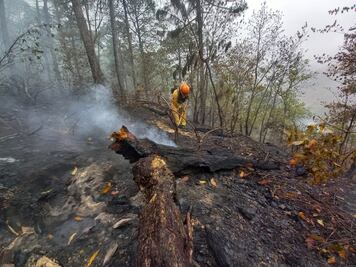 Fuerza Armada Mexicana esparce yoduro de plata sobre nubes para generar lluvias en NL