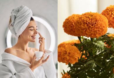 Cómo hacer mascarilla de cempasúchil para las arrugas