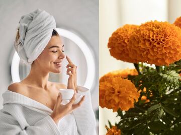 Cómo hacer mascarilla de cempasúchil para las arrugas