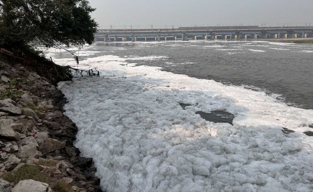 La espuma tóxica se acumula en las orillas del río Yamuna, uno de los más contaminados del mundo, a pocos kilómetros del centro de Nueva Delhi, el 22 de octubre de 2024. El Yamuna fluye cubierto por una espesa capa de espuma tóxica que convierte el tramo capitalino del río, uno de los más sagrados para los hindúes, en un caudal de aguas fecales sin tratar, vertidos industriales y agrícolas. Foto: EFE