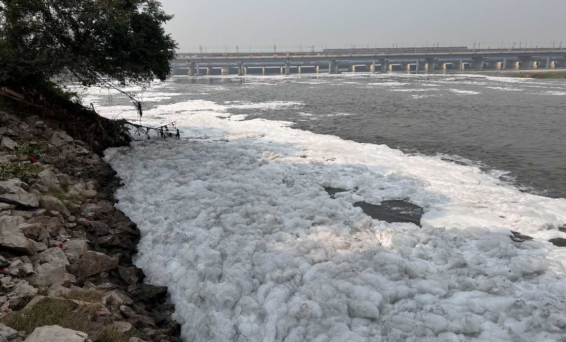 La espuma tóxica se acumula en las orillas del río Yamuna, uno de los más contaminados del mundo, a pocos kilómetros del centro de Nueva Delhi, el 22 de octubre de 2024. El Yamuna fluye cubierto por una espesa capa de espuma tóxica que convierte el tramo capitalino del río, uno de los más sagrados para los hindúes, en un caudal de aguas fecales sin tratar, vertidos industriales y agrícolas. Foto: EFE