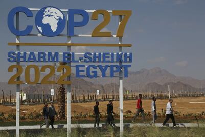 De Berlín a Egipto, más de 25 años de cumbres climáticas. ¿De que van las COP?