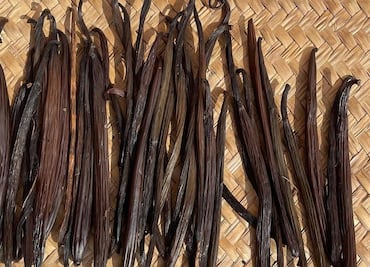 Conoce la magnífica vainilla mexicana