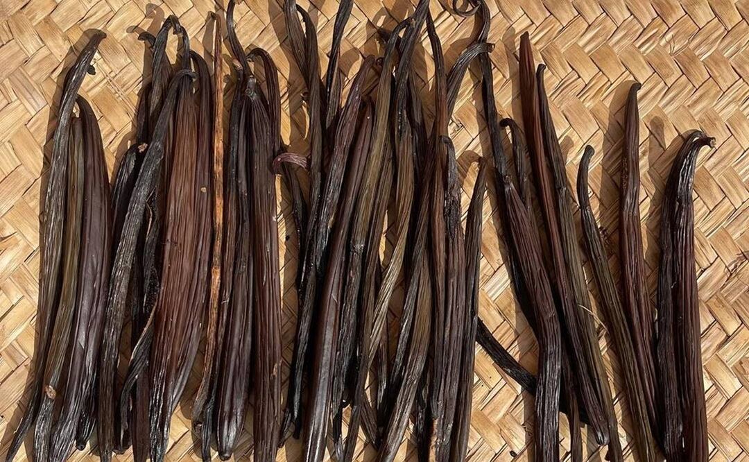 Foto: vanilla.akih / Instagram