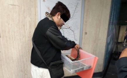 Aseguran boa en Metro Santa Anita