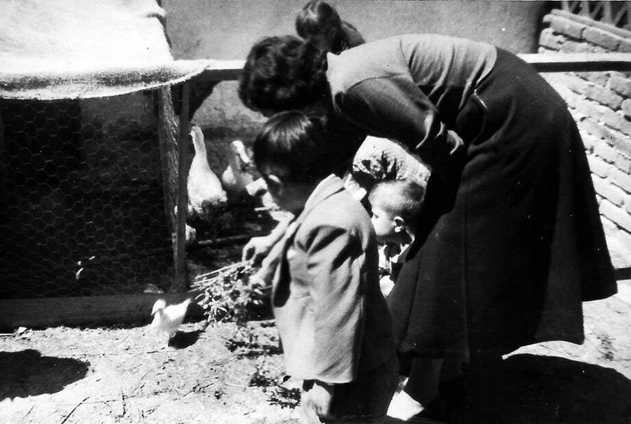 Niños cuidan animales de corral con la ayuda de una maestra en la colonia federal, año de 1959. Foto: Especial.