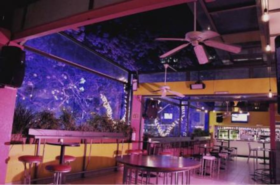 Foto: Archivo / EL UNIVERSAL