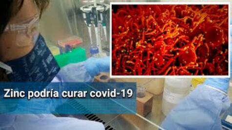 El zinc sería clave para tratamiento de Covid-19