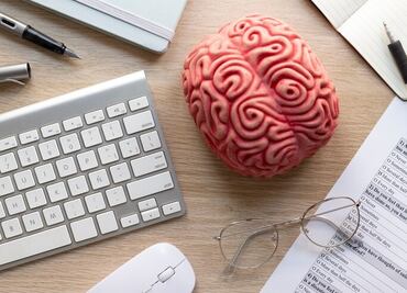 Descubre cuál es la vitamina perfecta para aumentar la memoria en época de exámenes, según Harvard