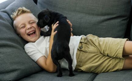 ¿En busca de un nuevo mejor amigo? Metro CDMX pone en adopción a perritos rescatados por Día del Niño