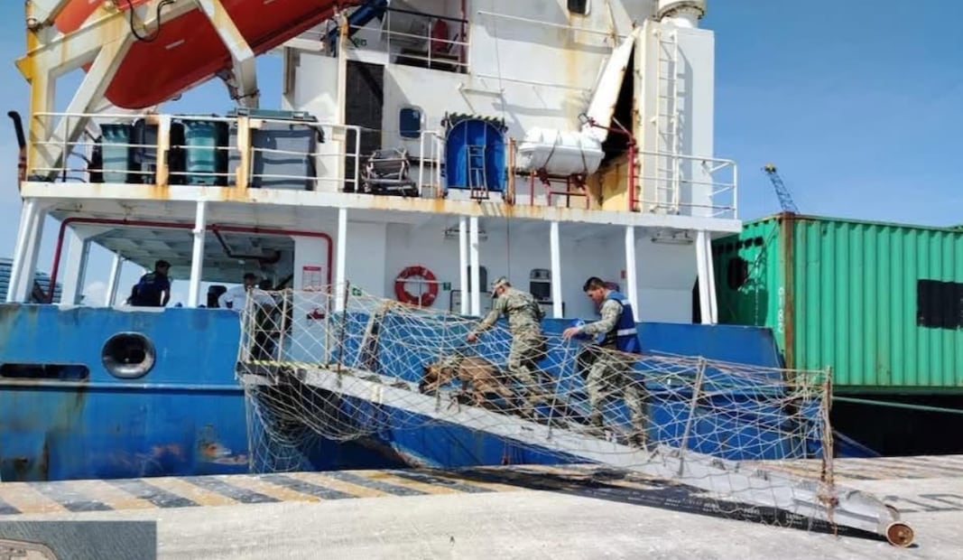 La embarcación, con bandera de Comoras, país de África oriental, estaría relacionada con presunto derrame de combustible (18/09/2026). Foto: Secretaría de Marina