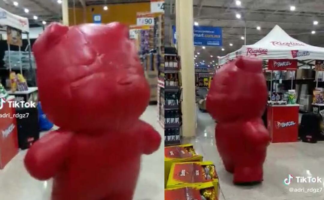 Foto: Captura de video TikTok.