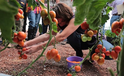 Actividad económica tiene alza del 2.8% anual