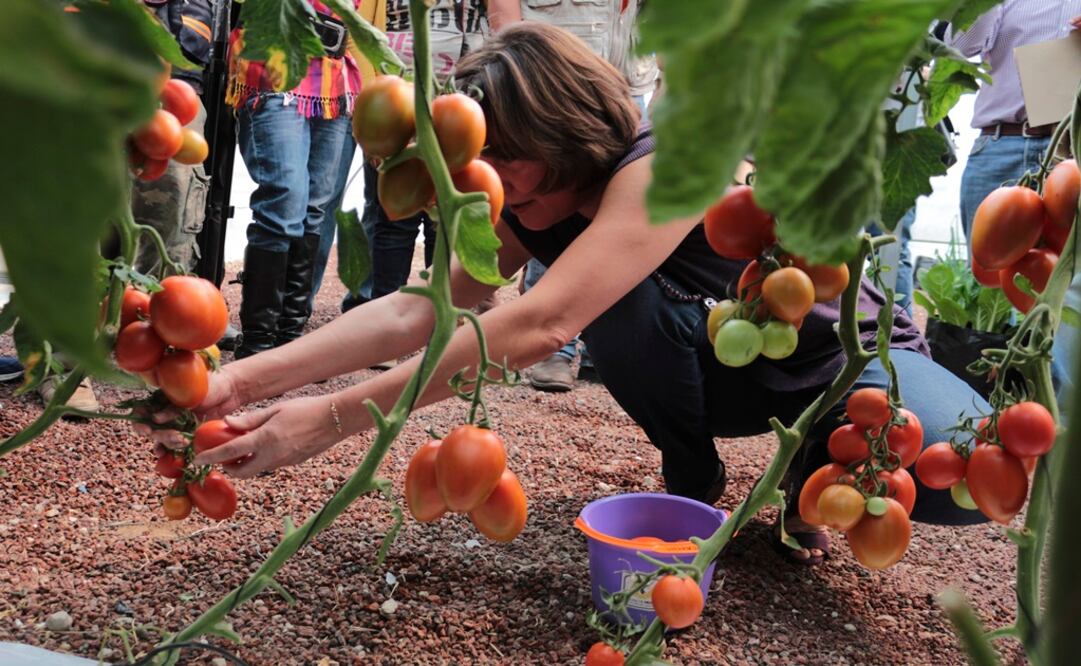 Foto: Cuartoscuro / Archivo