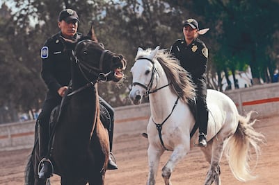 Jalan las riendas al crimen en CDMX