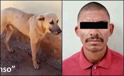 Detienen a hombre por herir de muerte a “Alonso”, un perrito criollo de 4 años