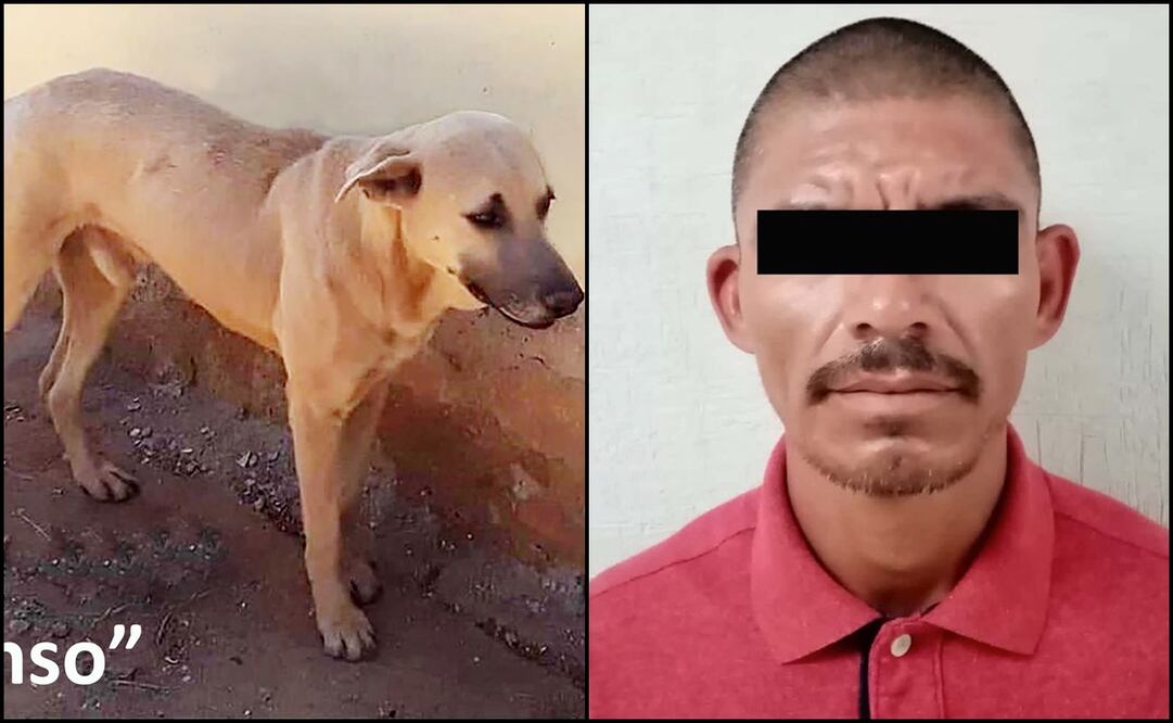 Fotos: Fiscalía de Sonora