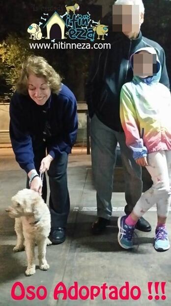 Entérate. Casos de maltrato animal en México