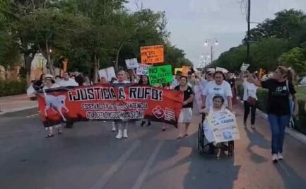 Piden justicia por “Rufino”, lomito decapitado en Yucatán 