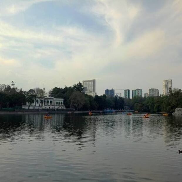 10 actividades gratis en la CDMX para el puente del 20 de noviembre