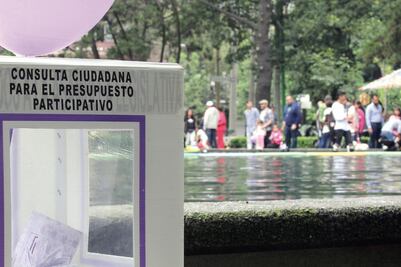 Consulta ciudadana registra 3% de participación