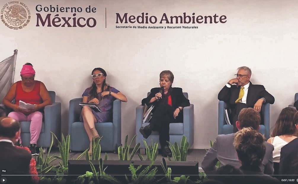 Tras anunciar que el proyecto no será aprobado, la secretaria de Medio Ambiente dijo que la empresa puede buscar otra locación. Foto: Tomada de video